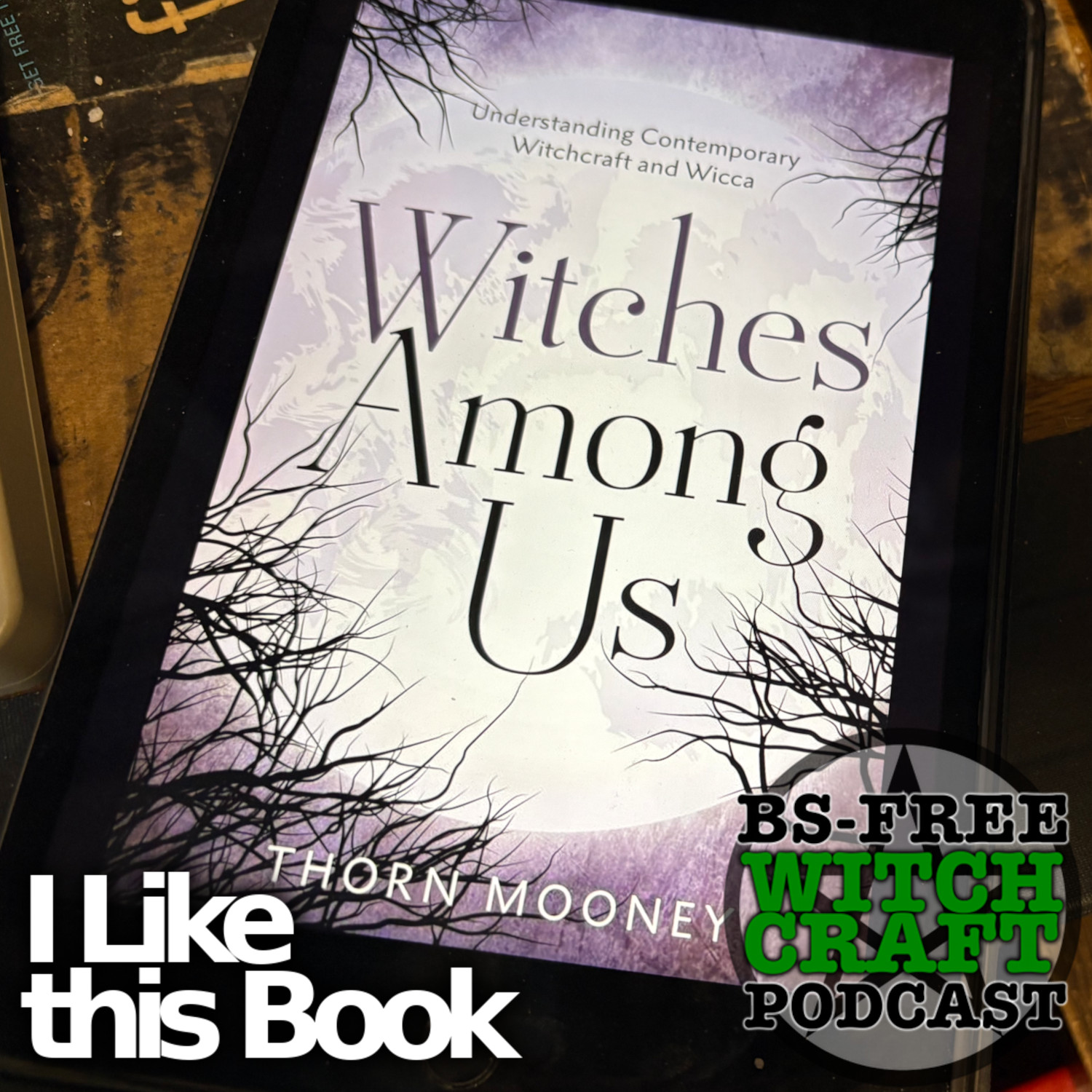 83. An Honest Review of Thorn Mooney’s “Witches Among Us”